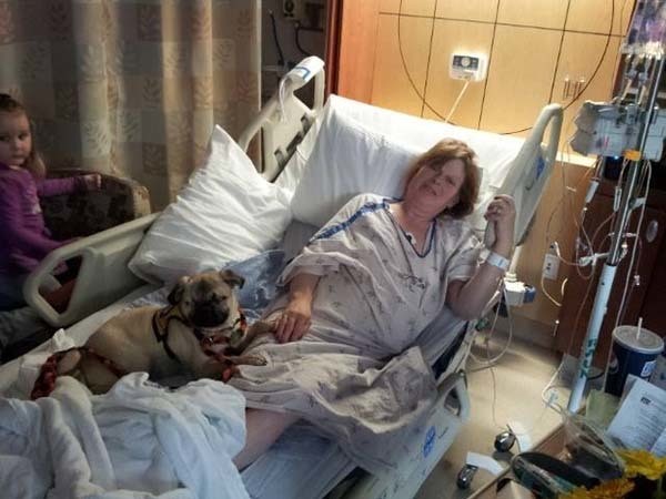 Rodney and his wife, after adopting Xander, had him officially certified as a therapy dog. You can see him comforting his new mom in the hospital in this picture.
